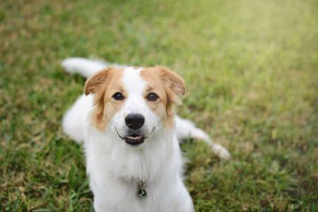 Entry image for Annabelle. Clicking this image will show a larger photo