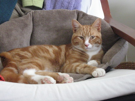 Entry image for Roy. Clicking this image will show a larger photo