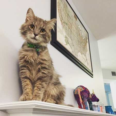 Entry image for Tim Riggins. Clicking this image will show a larger photo