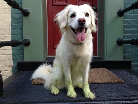 Entry image for Annie. Clicking this image will show a larger photo