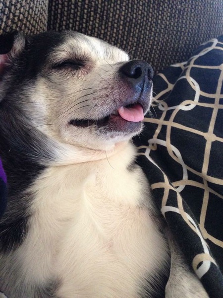 Entry image for Ivan. Clicking this image will show a larger photo