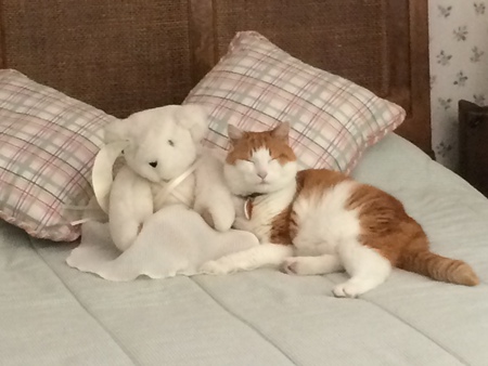 Entry image for Prince Charles Wilson Skarlatos. Clicking this image will show a larger photo