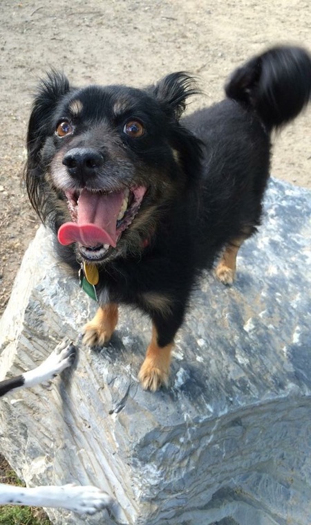 Entry image for Max. Clicking this image will show a larger photo