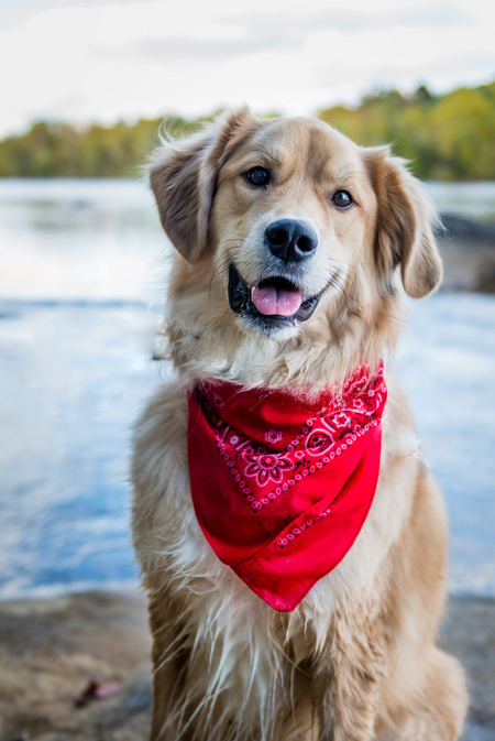 Entry image for Appa. Clicking this image will show a larger photo