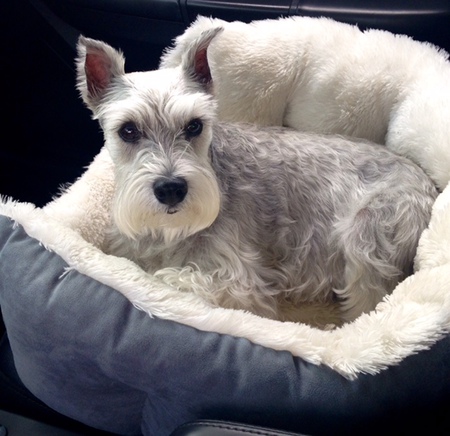 Entry image for Cameron. Clicking this image will show a larger photo