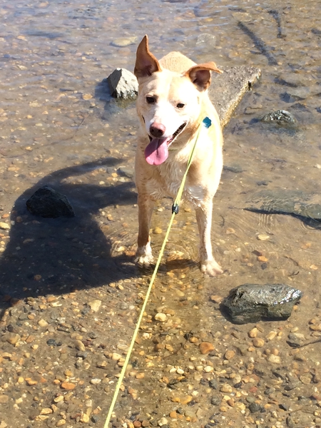 Entry image for Brody. Clicking this image will show a larger photo