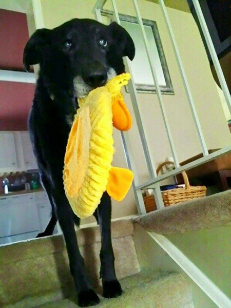 Kosmo