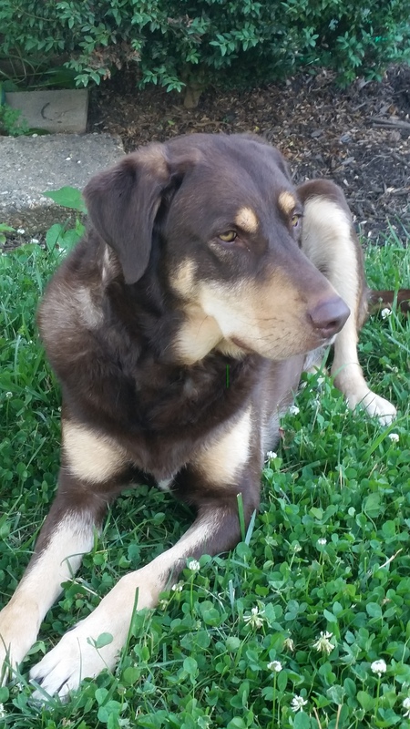 Sammy