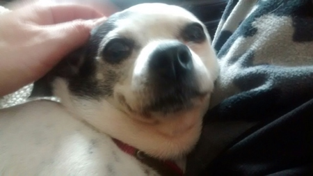 Bitsy
