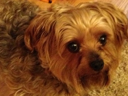 Dexter