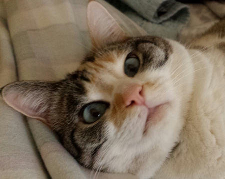 Sara