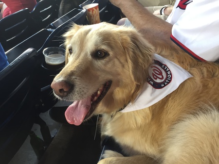 Bailey