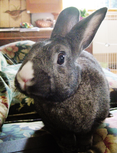 P.R. (formerly Huey)