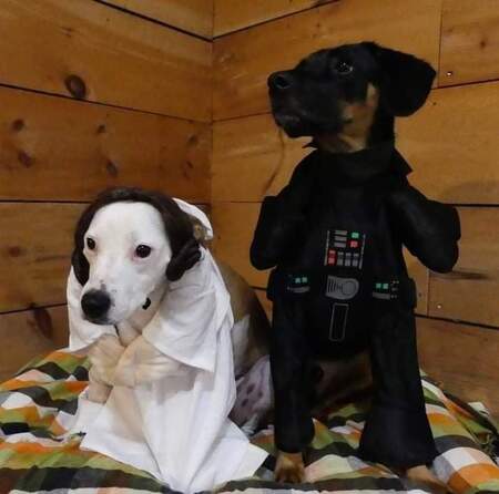 Piper Rey & Kylo Ren