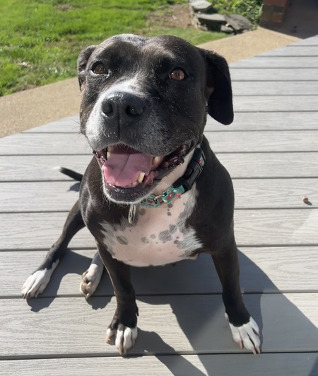 Penny