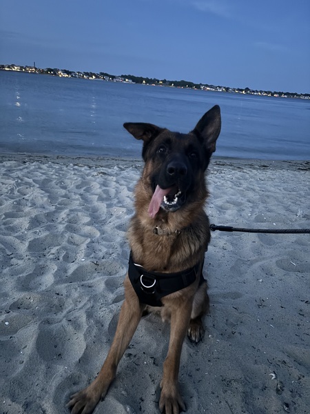 Zeus