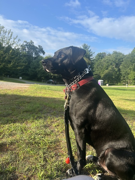 Pete