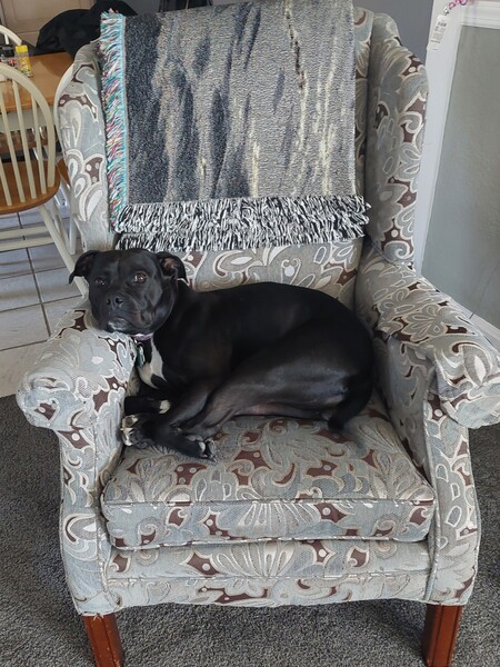 Bella