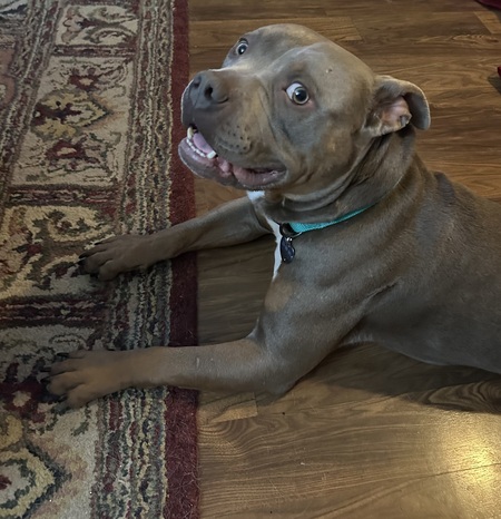 Maximus Justus aka Max