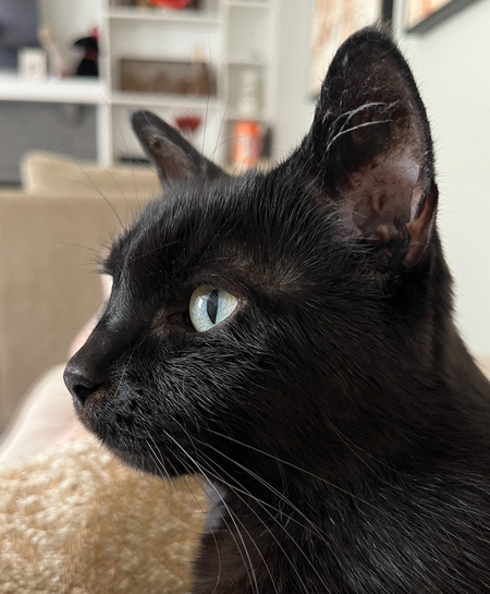 Kit Kat
