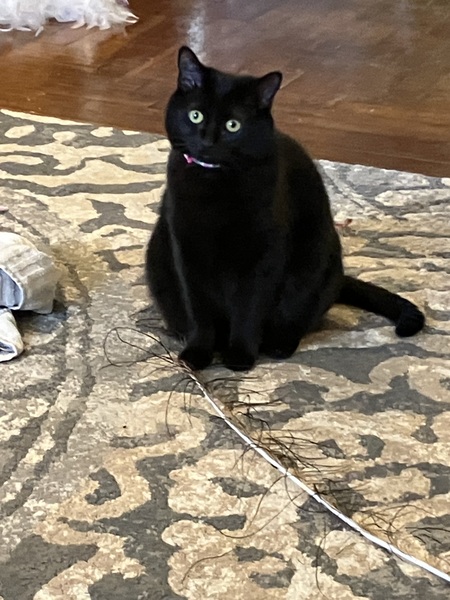 Skylar