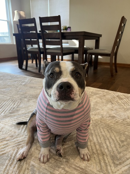 Lexi