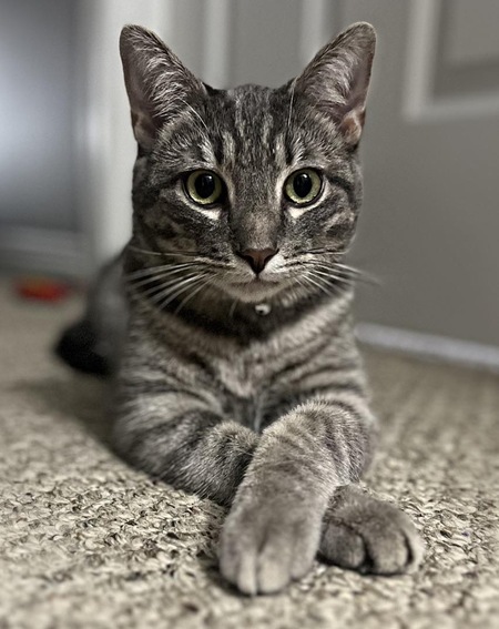 Oliver