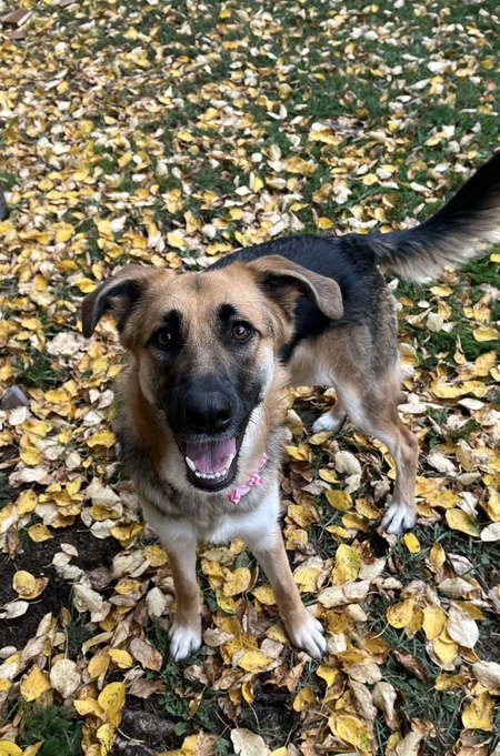 Ellie