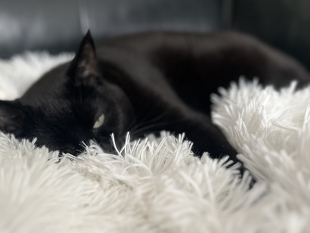 Kiki