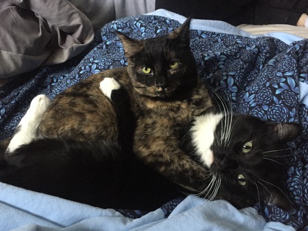 Ella and Zeus