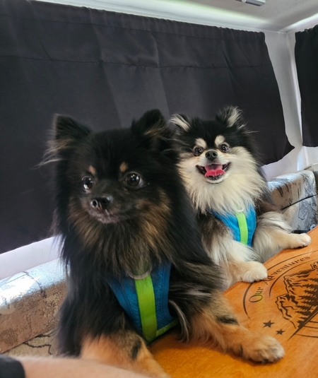 Benson & Tyko
