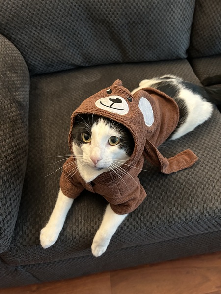 Mochi 