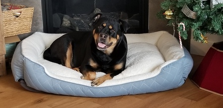 Mika