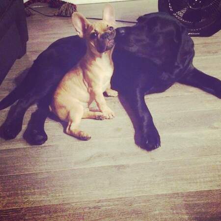 Dallas & Memphis 