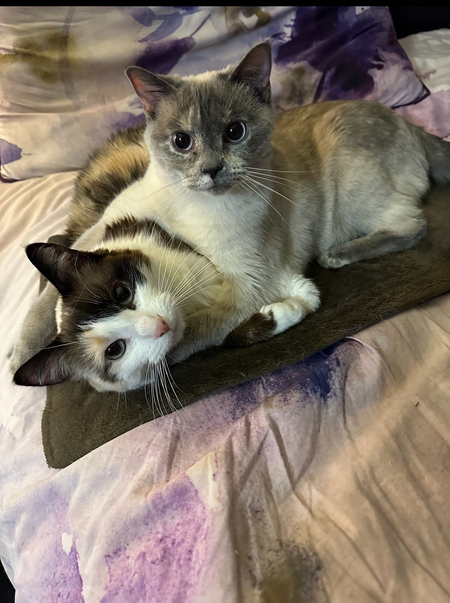 Kitty and Bella