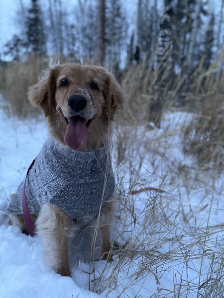 Zoey
