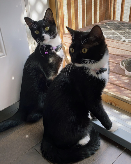Luna & Star