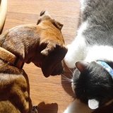 Entry image for Denise-Batty and Zeus