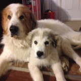 Entry image for Cristina