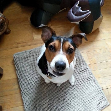 Entry image for Patsy  -  Sass. Clicking this image will show a larger photo