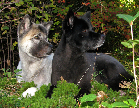 Gustav, Judy & Britta