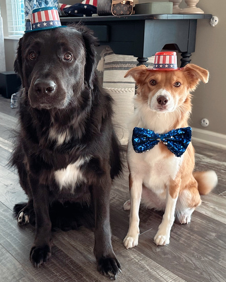 Beau and Remi