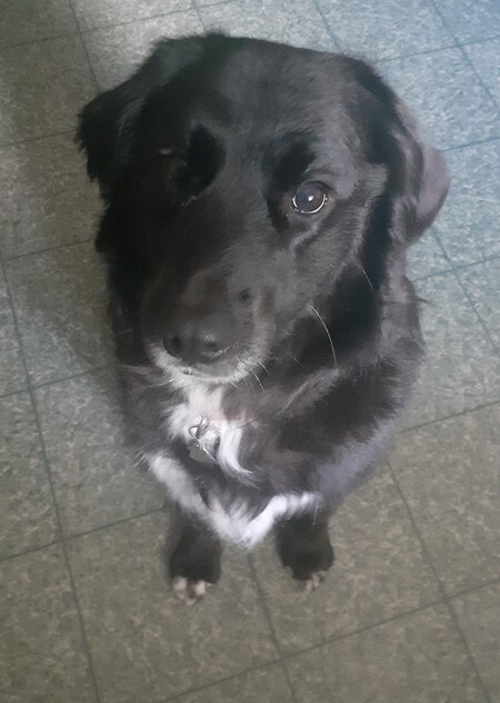 Molly