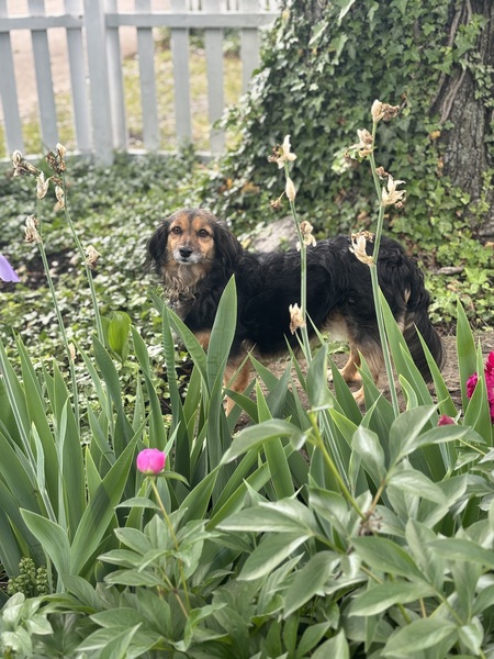 Chloe