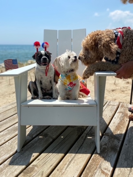 Buddy & Friends