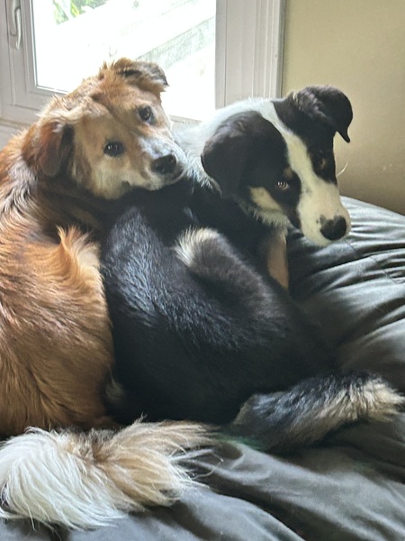 Ollie and Carter