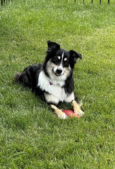 Sadie