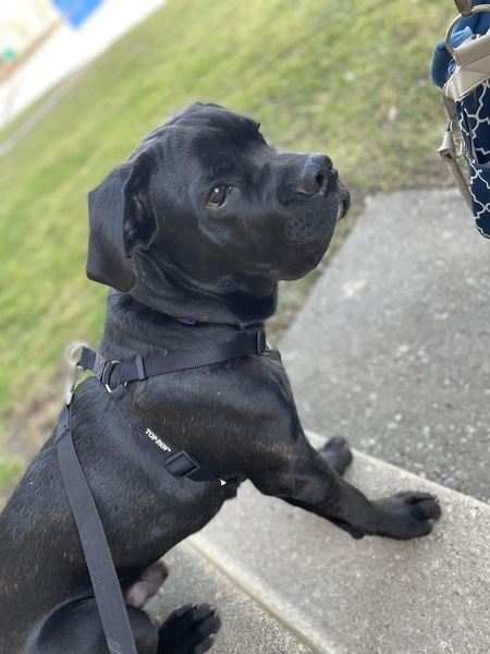 Titan