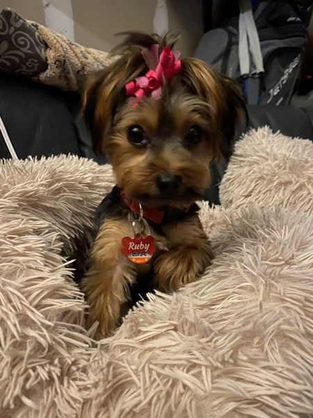 Ruby