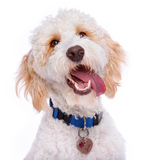 Entry image for Sullivan